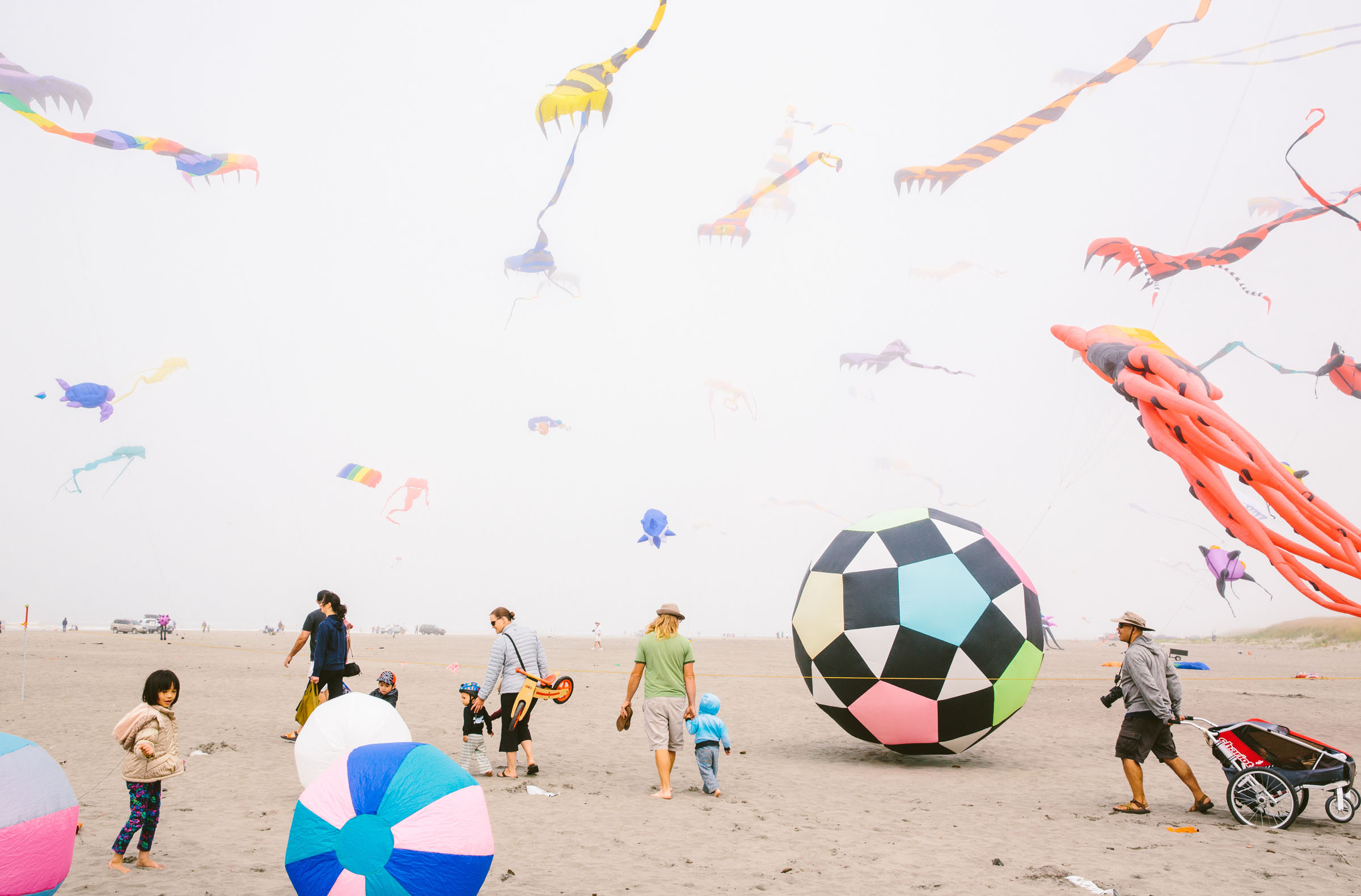 Kite Festival, Long Beach, Washington.