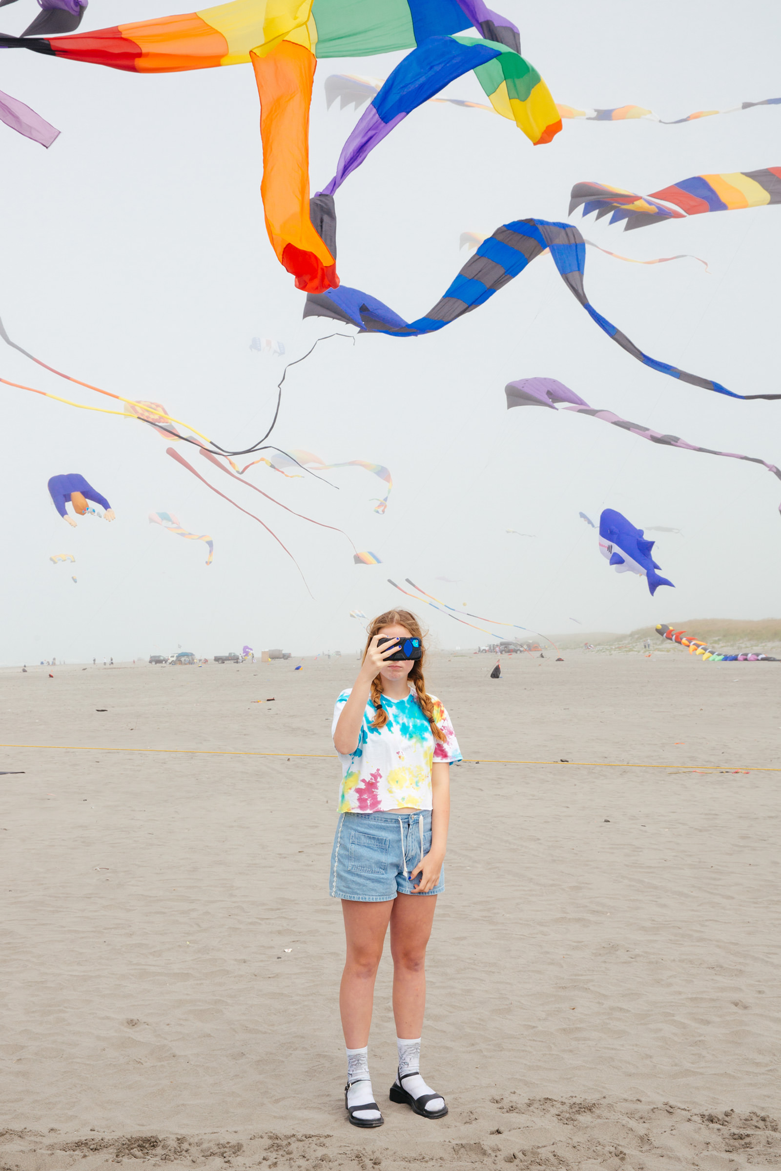 Kite Festival, Long Beach, Washington.