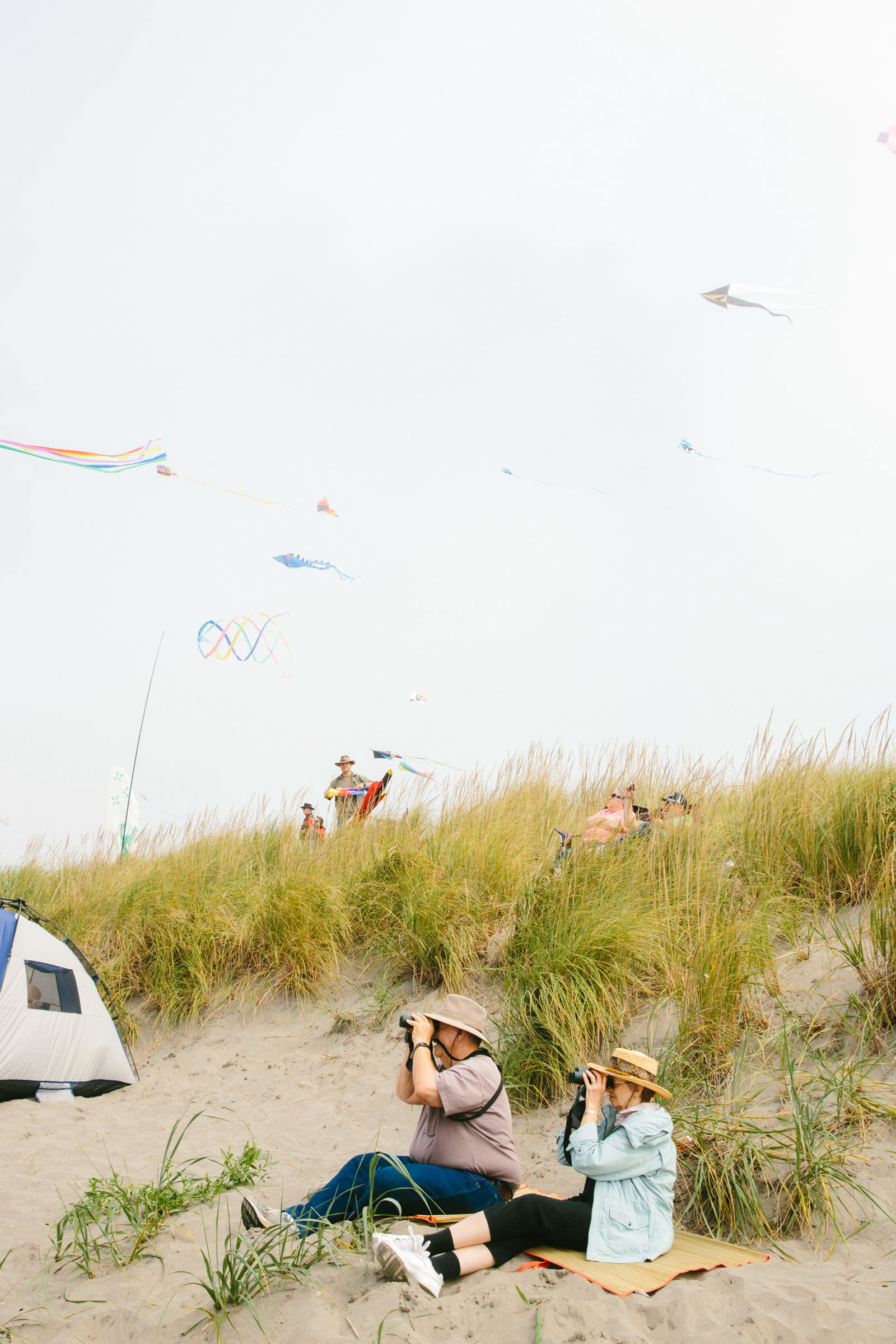 Kite Festival, Long Beach, Washington.