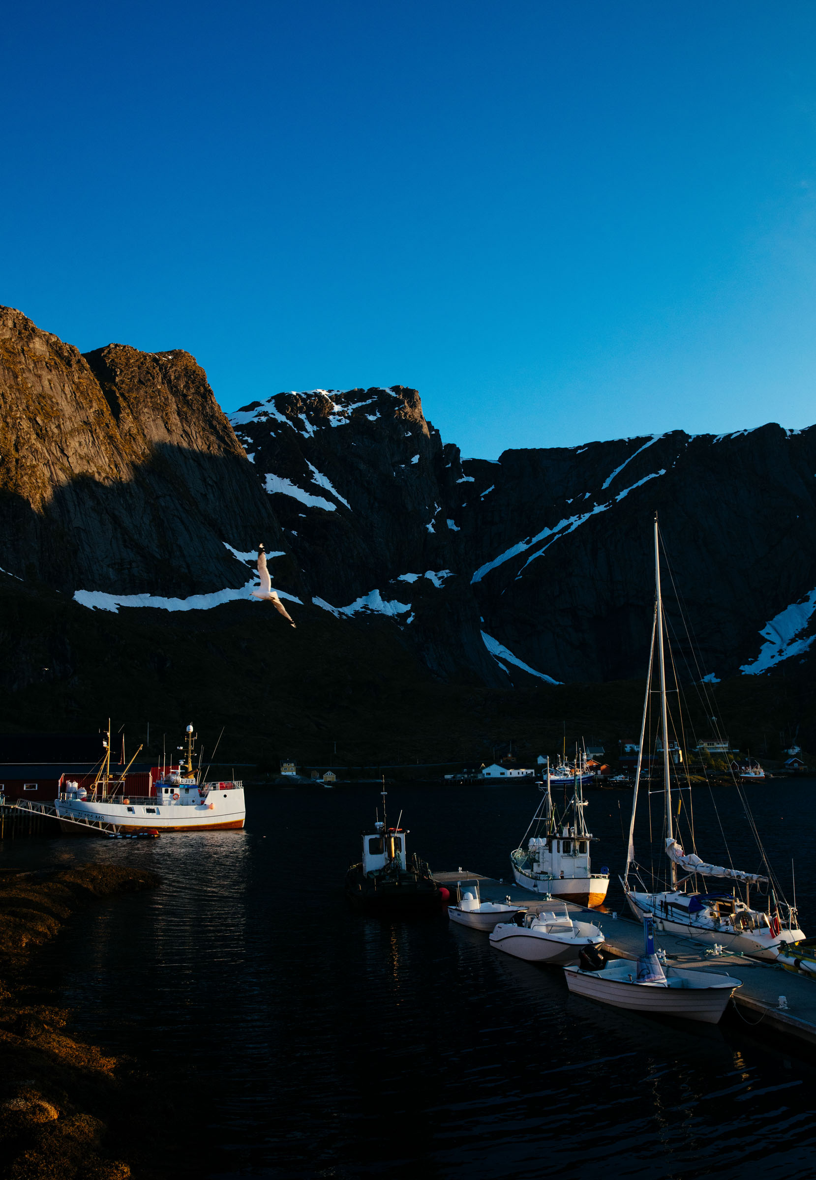 Reine Habor in the Lofoten Islands, Norway.