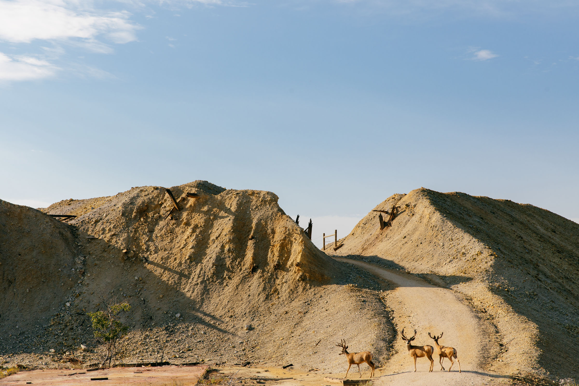 Toxic Tourism and The Berkeley Pit for Topic Toxic Tourism and The Berkeley Pit for Topic
